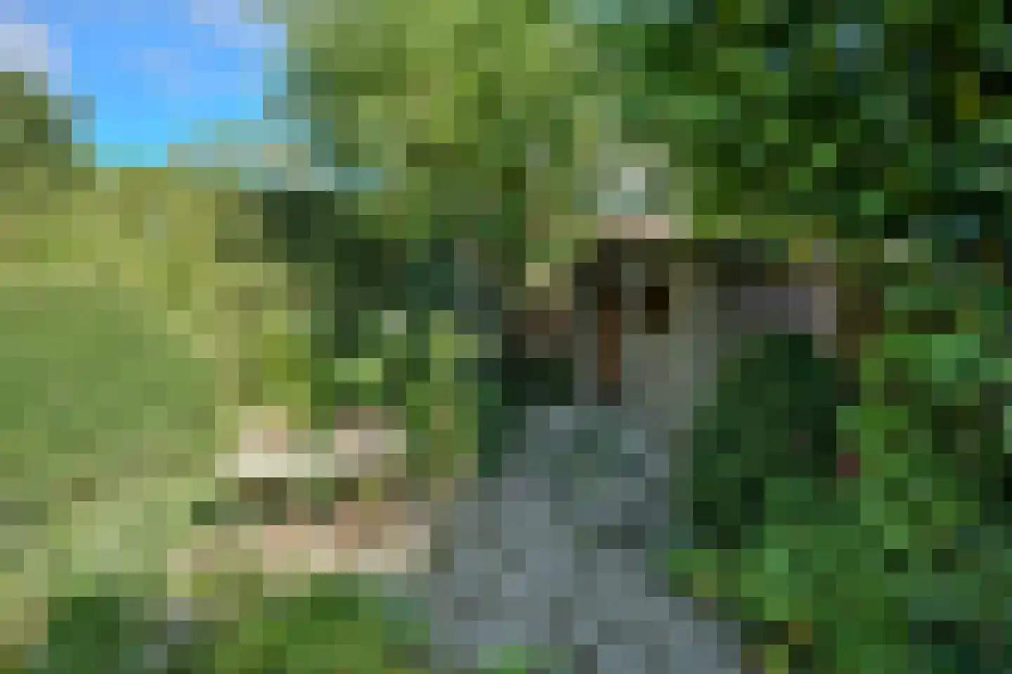 Rijksweg Zuid 232 Geleen thumbnail 40