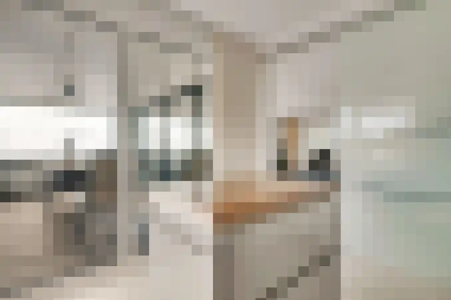 Rijksweg Zuid 24 11 Sittard thumbnail 14