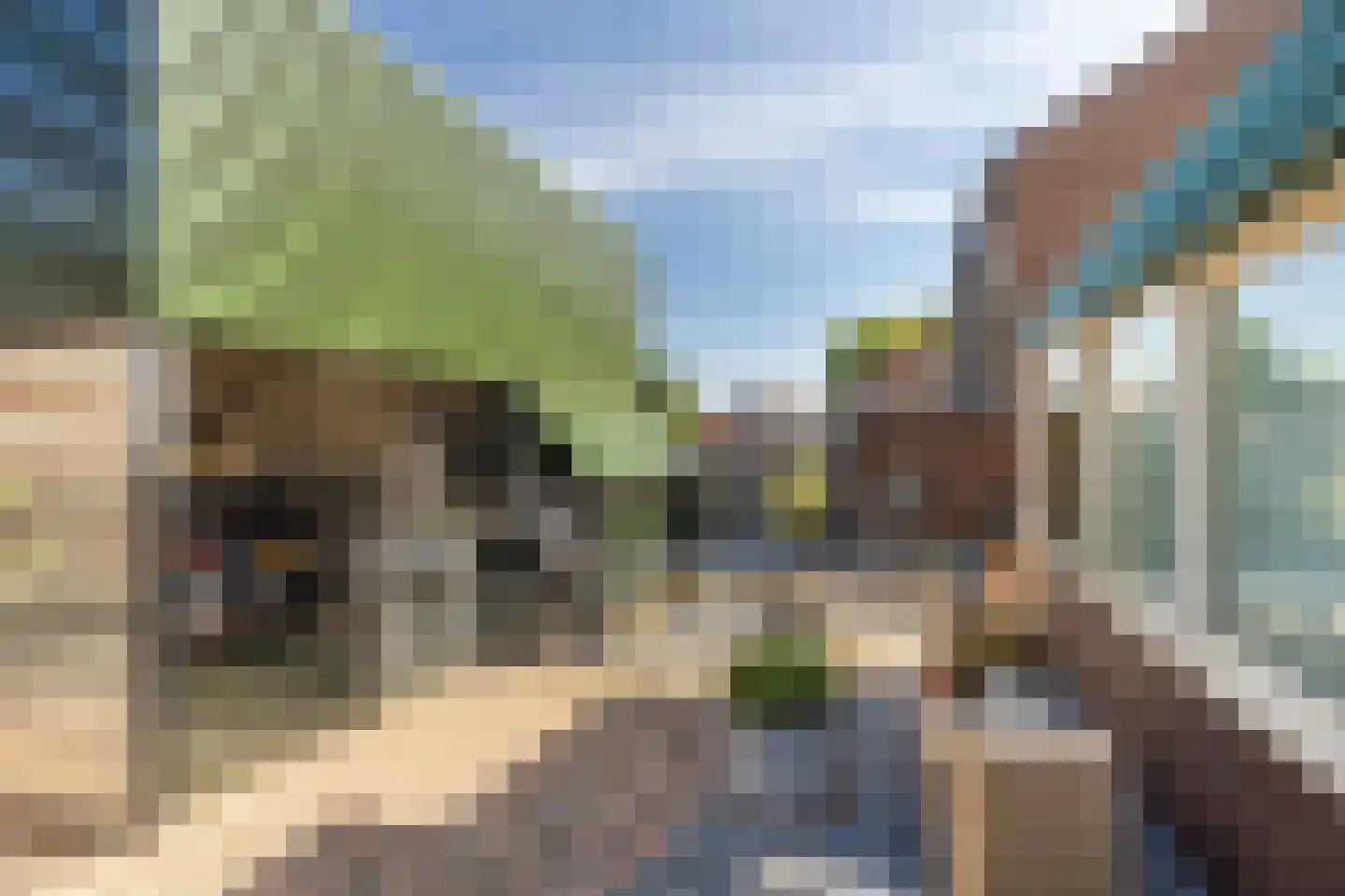 Rijksweg Zuid 251 Sittard thumbnail 27