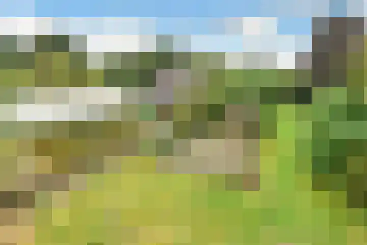 Rijksweg-Zuid 35 Elst thumbnail 10