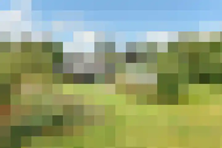 Rijksweg-Zuid 35 Elst thumbnail 11