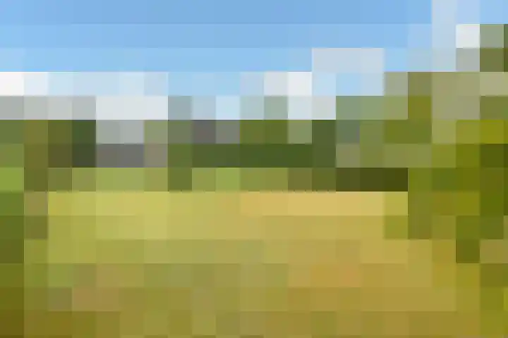 Rijksweg-Zuid 35 Elst thumbnail 12