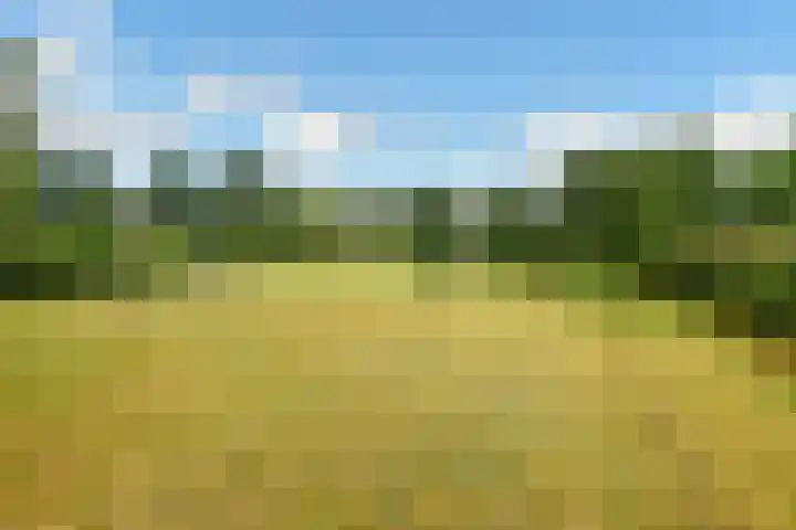 Rijksweg-Zuid 35 Elst thumbnail 13