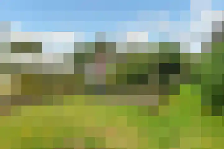 Rijksweg-Zuid 35 Elst thumbnail 14