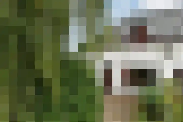 Rijksweg-Zuid 35 Elst foto 2