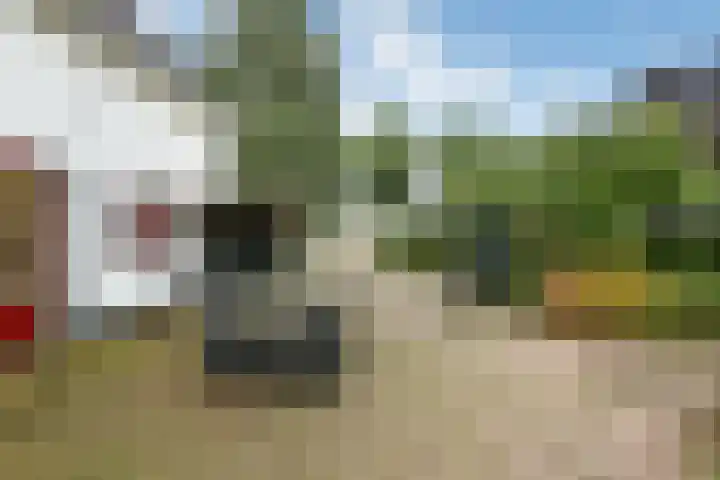 Rijksweg-Zuid 35 Elst thumbnail 42