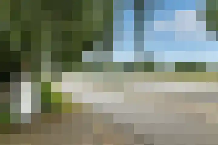 Rijksweg-Zuid 35 Elst thumbnail 47