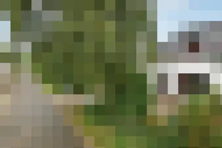 Rijksweg-Zuid 35 Elst thumbnail 49