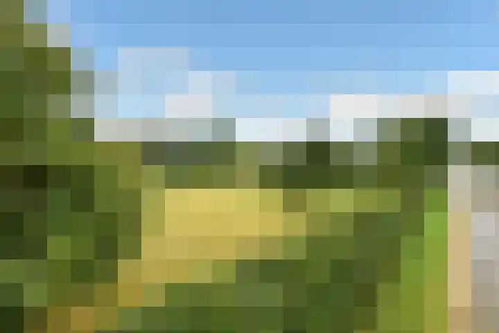 Rijksweg-Zuid 35 Elst thumbnail 6