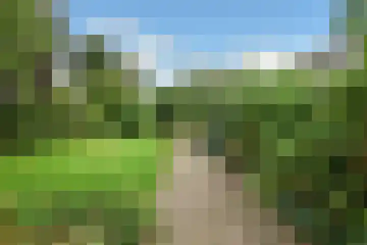Rijksweg-Zuid 35 Elst thumbnail 8