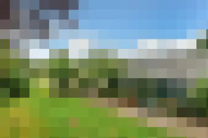 Rijksweg-Zuid 35 Elst thumbnail 9