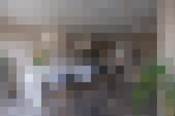 Rijksweg-Zuid 46 Elst thumbnail 20