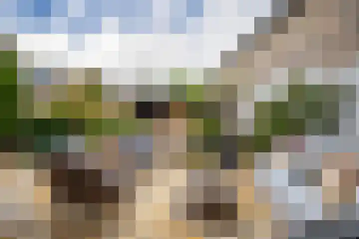 Rijksweg-Zuid 46 Elst thumbnail 23