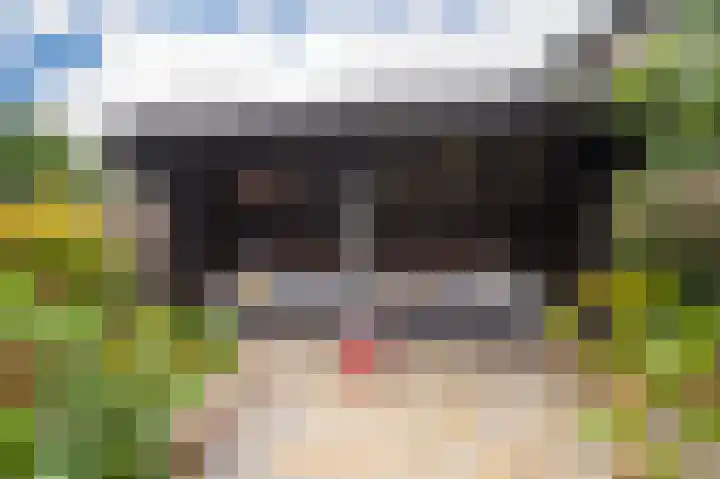 Rijksweg-Zuid 46 Elst thumbnail 26