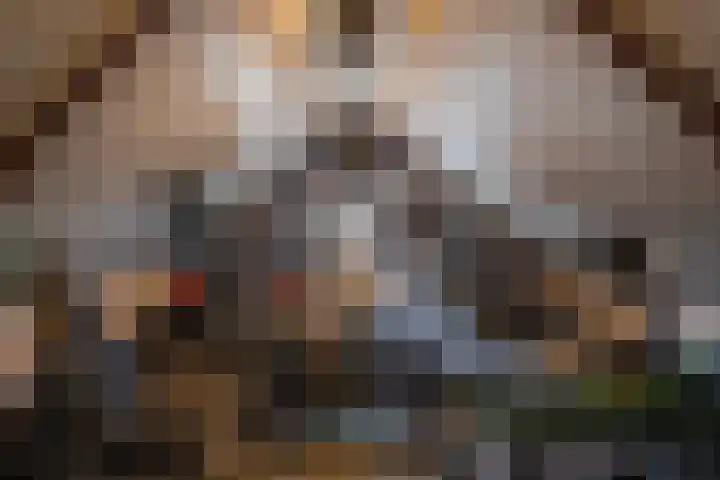 Rijksweg-Zuid 46 Elst thumbnail 45