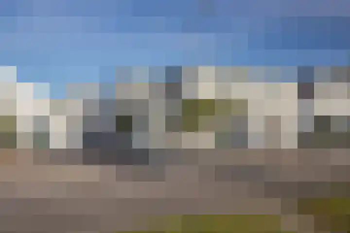 Rijksweg-Zuid 46 Elst thumbnail 47