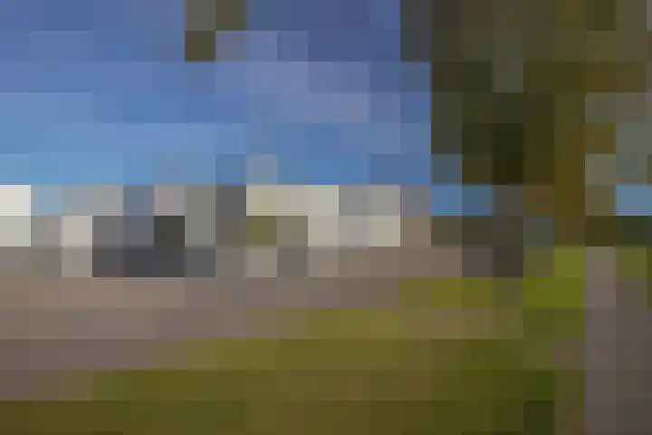 Rijksweg-Zuid 46 Elst thumbnail 48