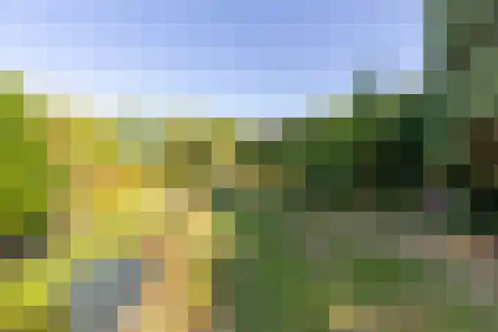 Rijksweg Zuid 47 Sittard thumbnail 27
