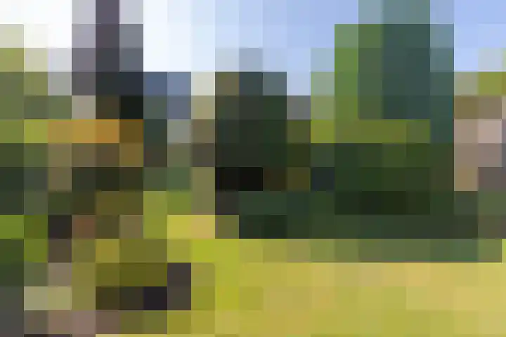 Rijksweg Zuid 47 Sittard thumbnail 30