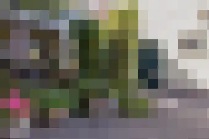 Rijksweg Zuid 47 Sittard thumbnail 32