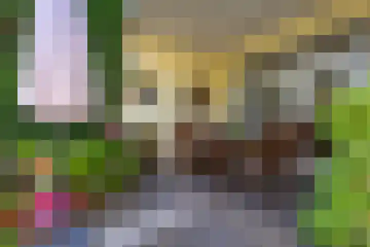 Rijksweg Zuid 47 Sittard thumbnail 33