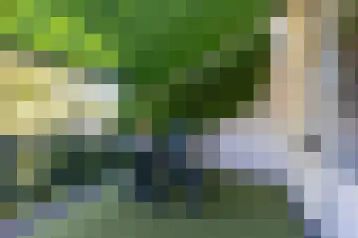 Rijksweg Zuid 47 Sittard thumbnail 42