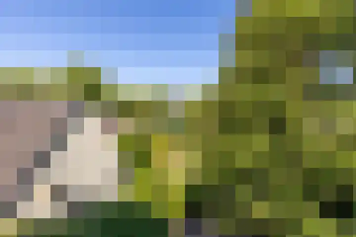 Rijksweg Zuid 47 Sittard thumbnail 44