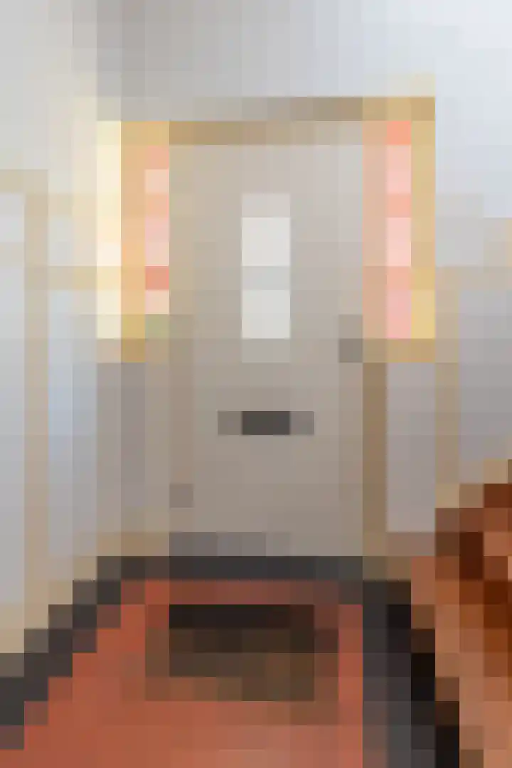 Rijksweg Zuid 47 Sittard thumbnail 9