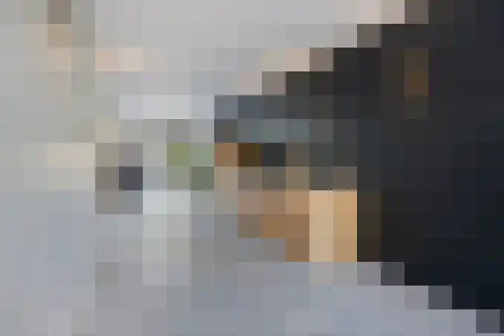 Rijksweg Zuid 59 Sittard thumbnail 10