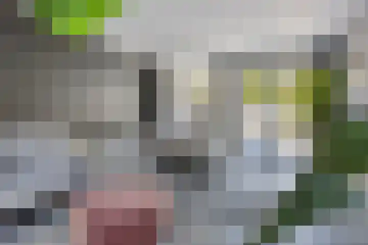 Rijksweg Zuid 59 Sittard thumbnail 14