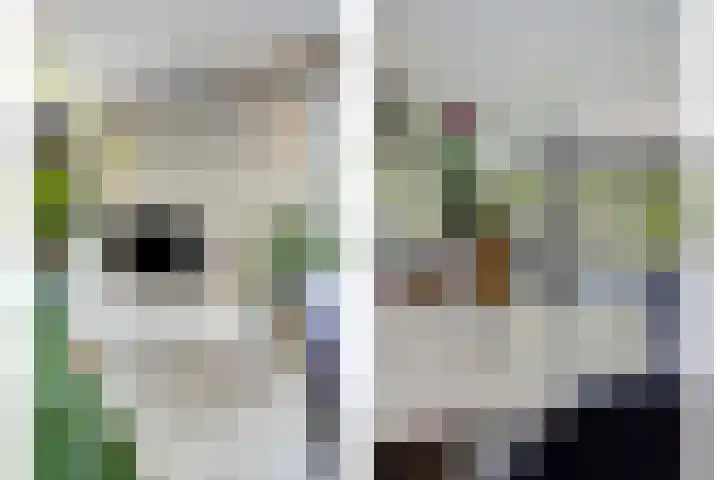 Rijksweg Zuid 59 Sittard thumbnail 15