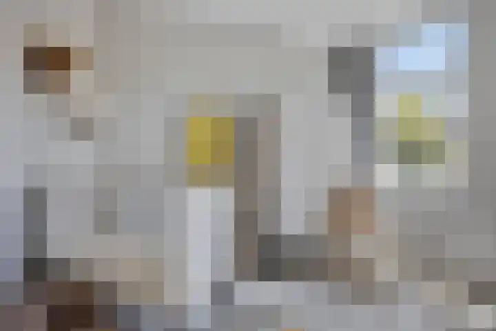 Rijksweg Zuid 59 Sittard thumbnail 18