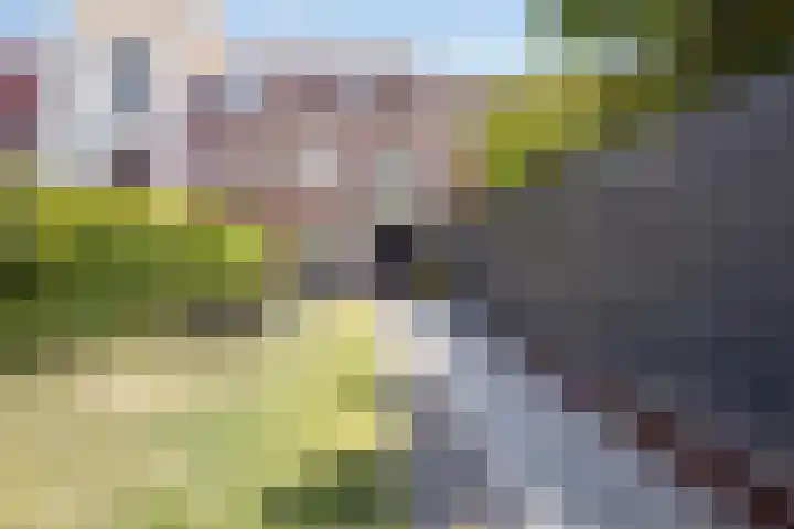 Rijksweg Zuid 59 Sittard thumbnail 31