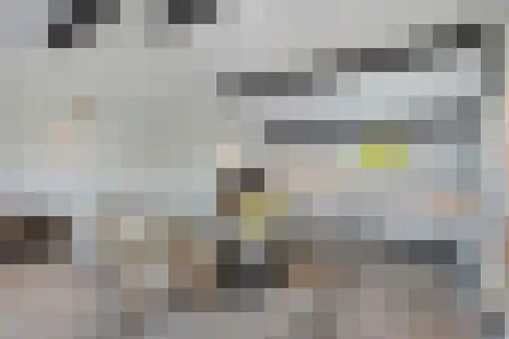 Rijksweg Zuid 59 Sittard thumbnail 6