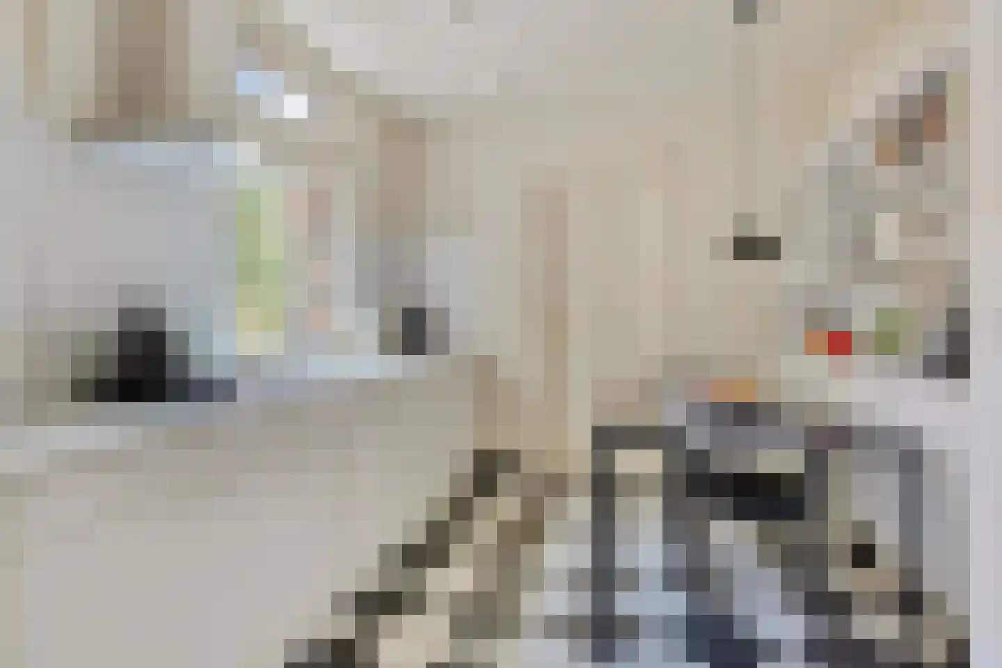 Rijksweg Zuid 6 Sittard thumbnail 22