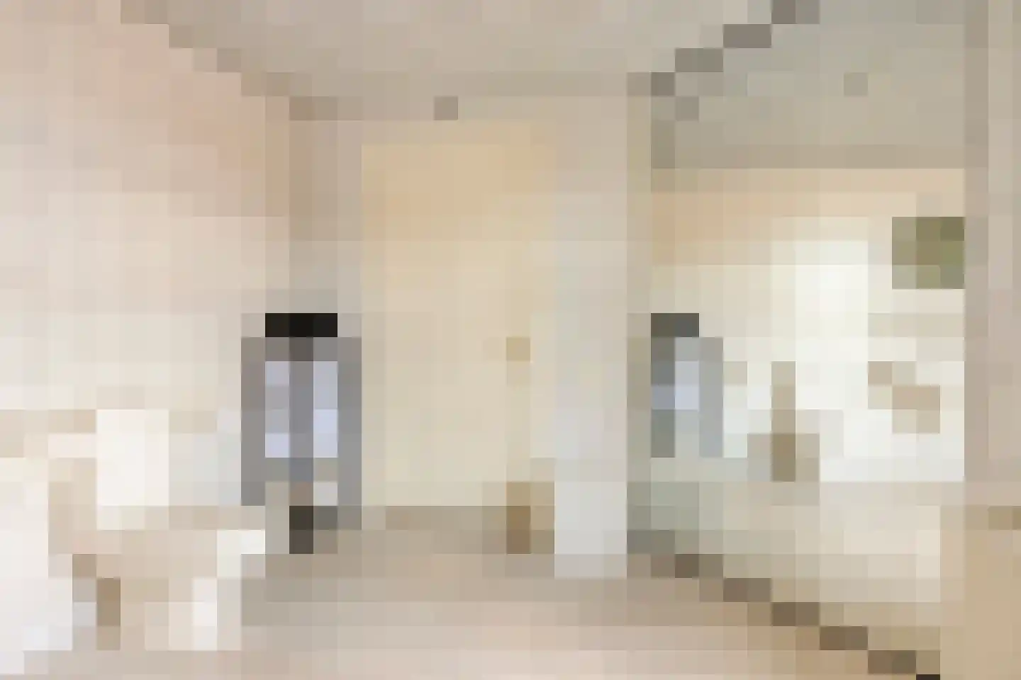 Rijksweg Zuid 6 Sittard thumbnail 32