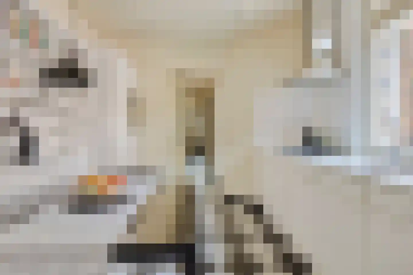 Rijksweg Zuid 6 Sittard thumbnail 5