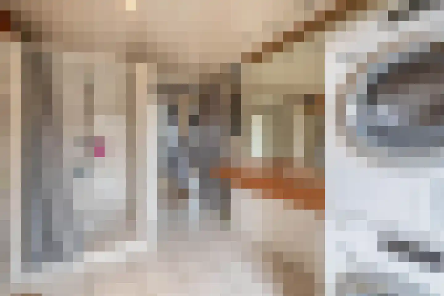 Rijksweg Zuid 77 Swalmen thumbnail 15