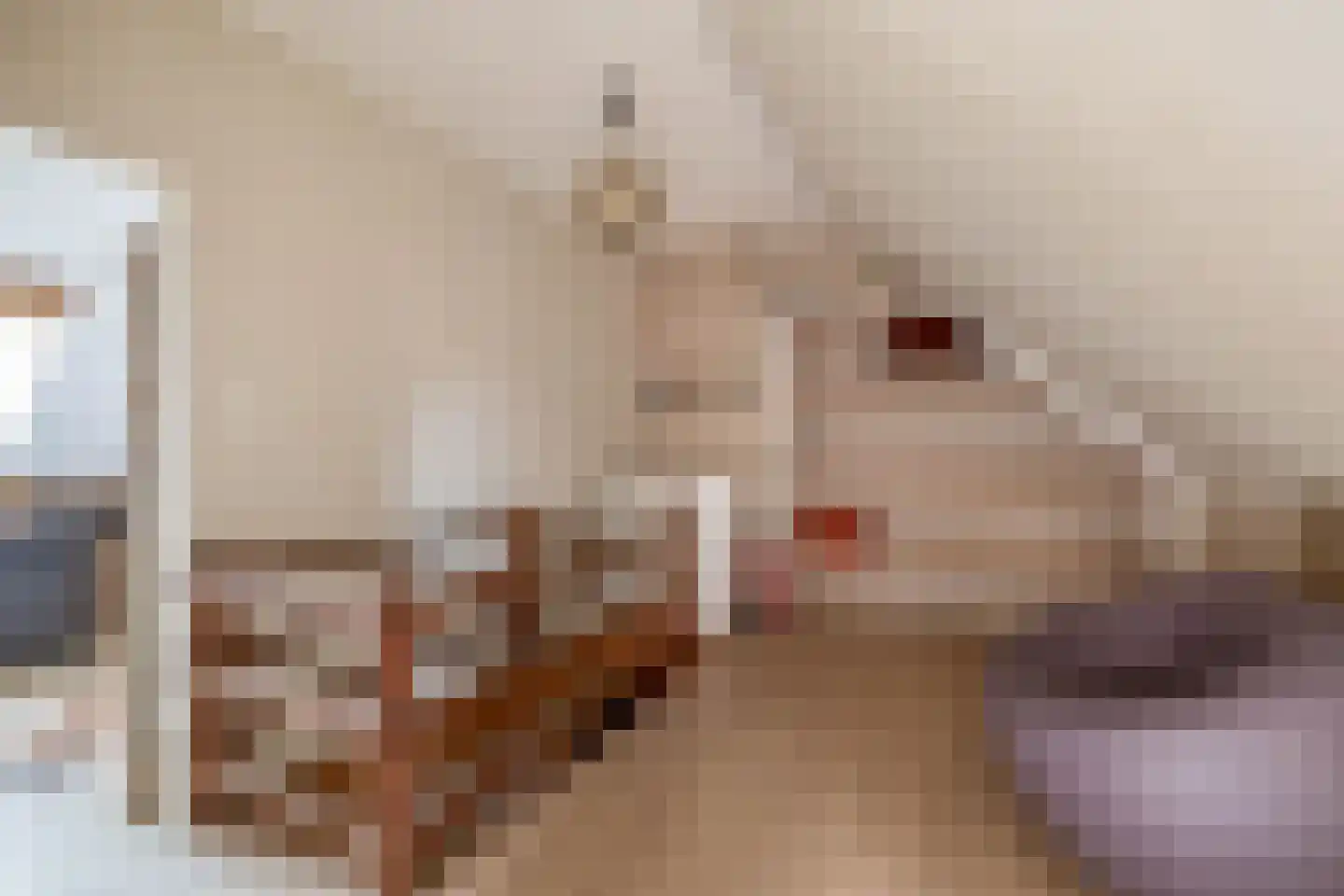 Rijksweg Zuid 77 Swalmen thumbnail 18