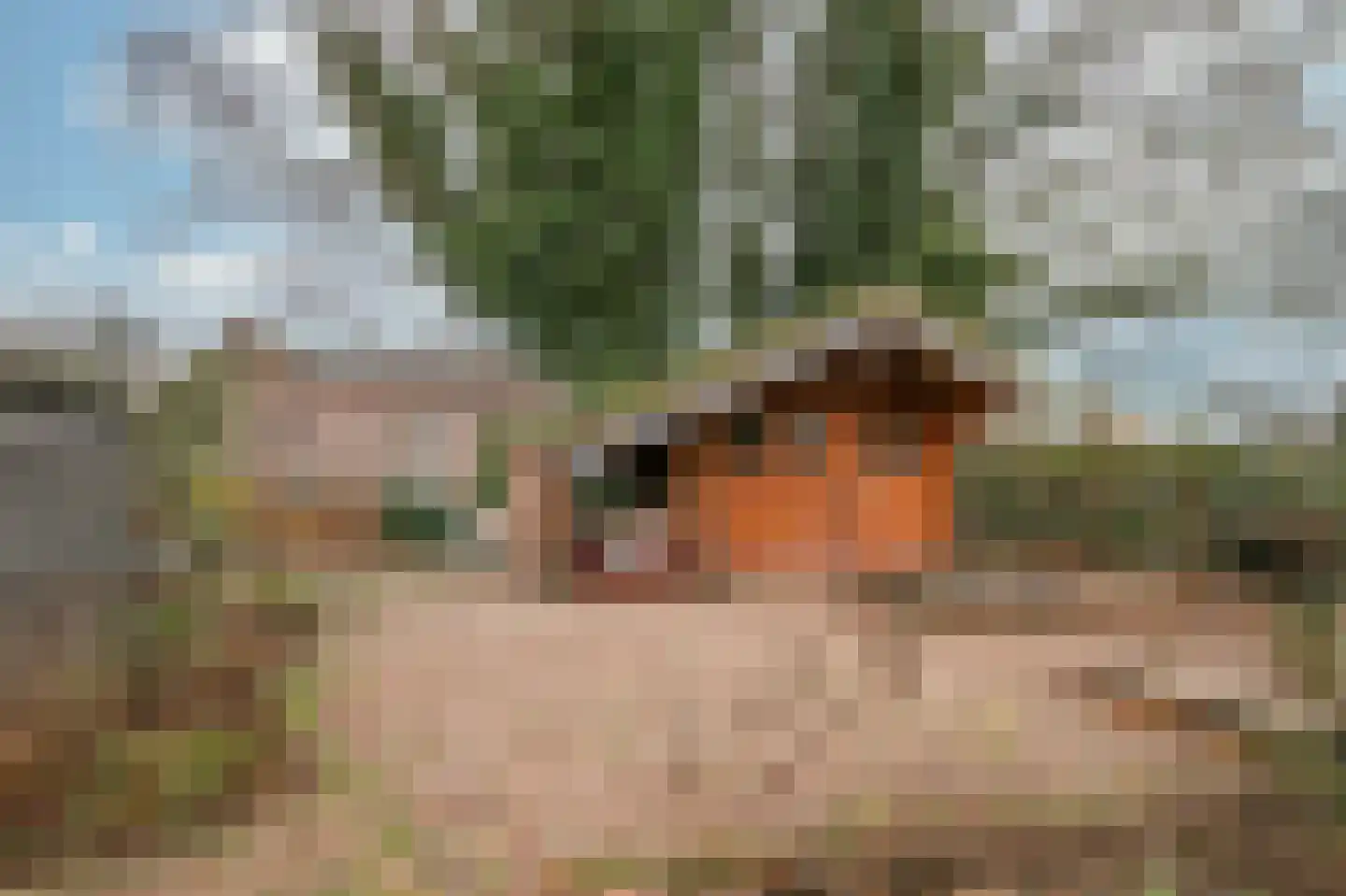 Rijksweg Zuid 77 Swalmen thumbnail 24