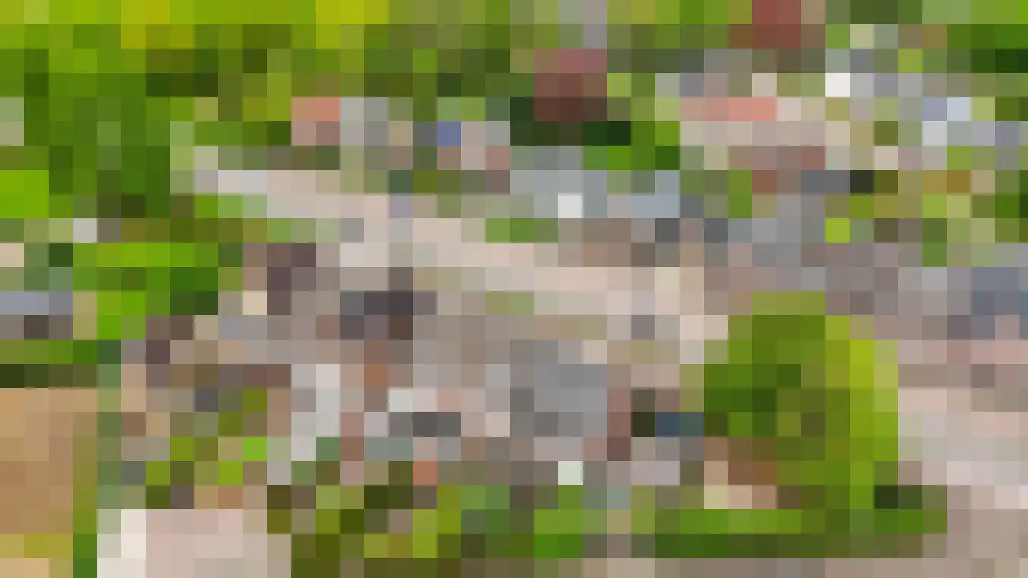 Rijksweg Zuid 77 Swalmen thumbnail 30