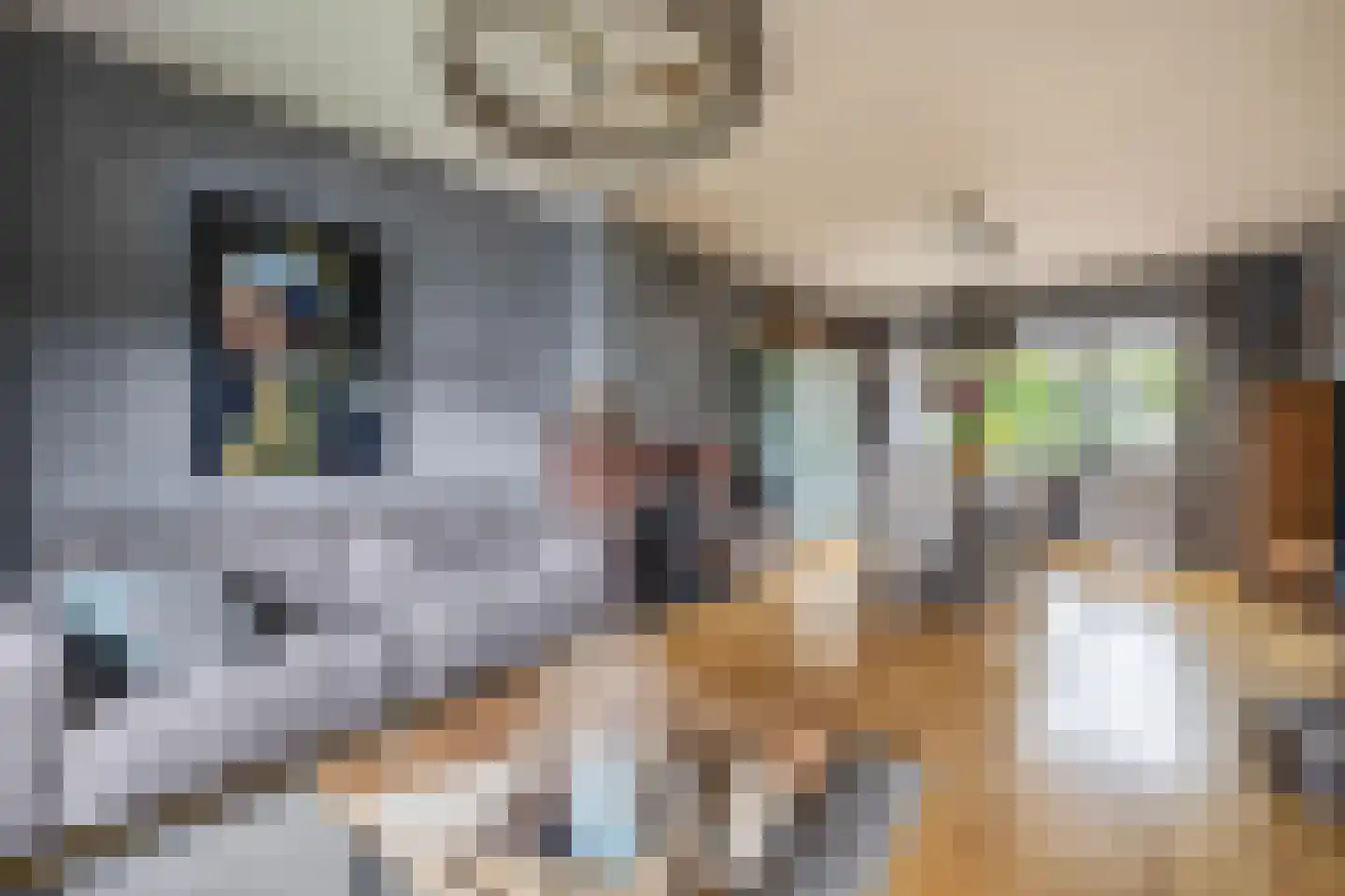 Rijksweg Zuid 77 Swalmen thumbnail 4