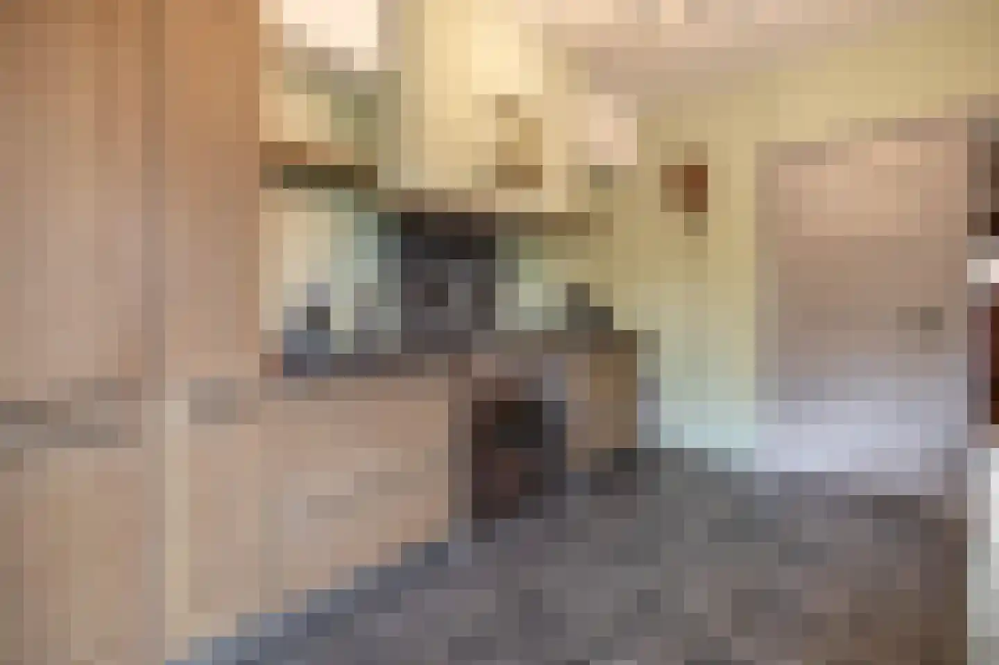 Rijksweg Zuid 77 Swalmen thumbnail 8