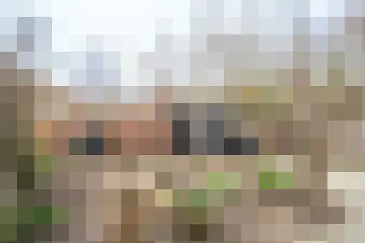 Rijksweg Zuid 78 Echt thumbnail 101