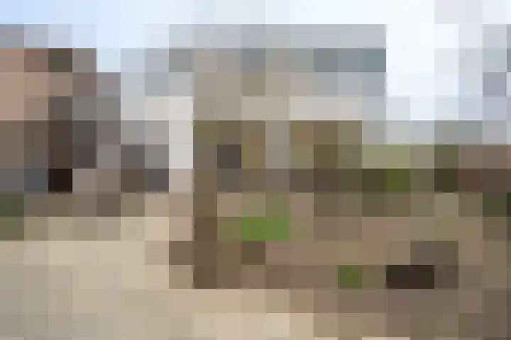 Rijksweg Zuid 78 Echt thumbnail 103