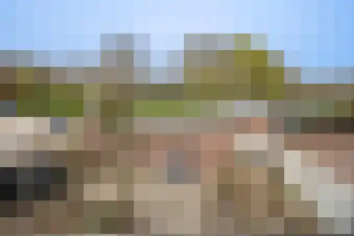 Rijksweg Zuid 78 Echt thumbnail 107