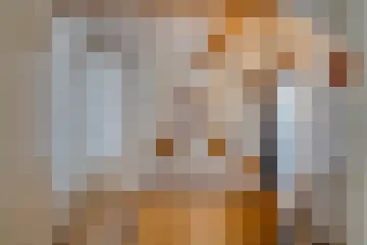 Rijksweg Zuid 78 Echt thumbnail 119