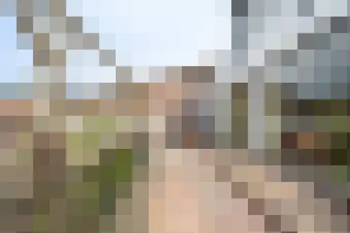 Rijksweg Zuid 78 Echt thumbnail 12