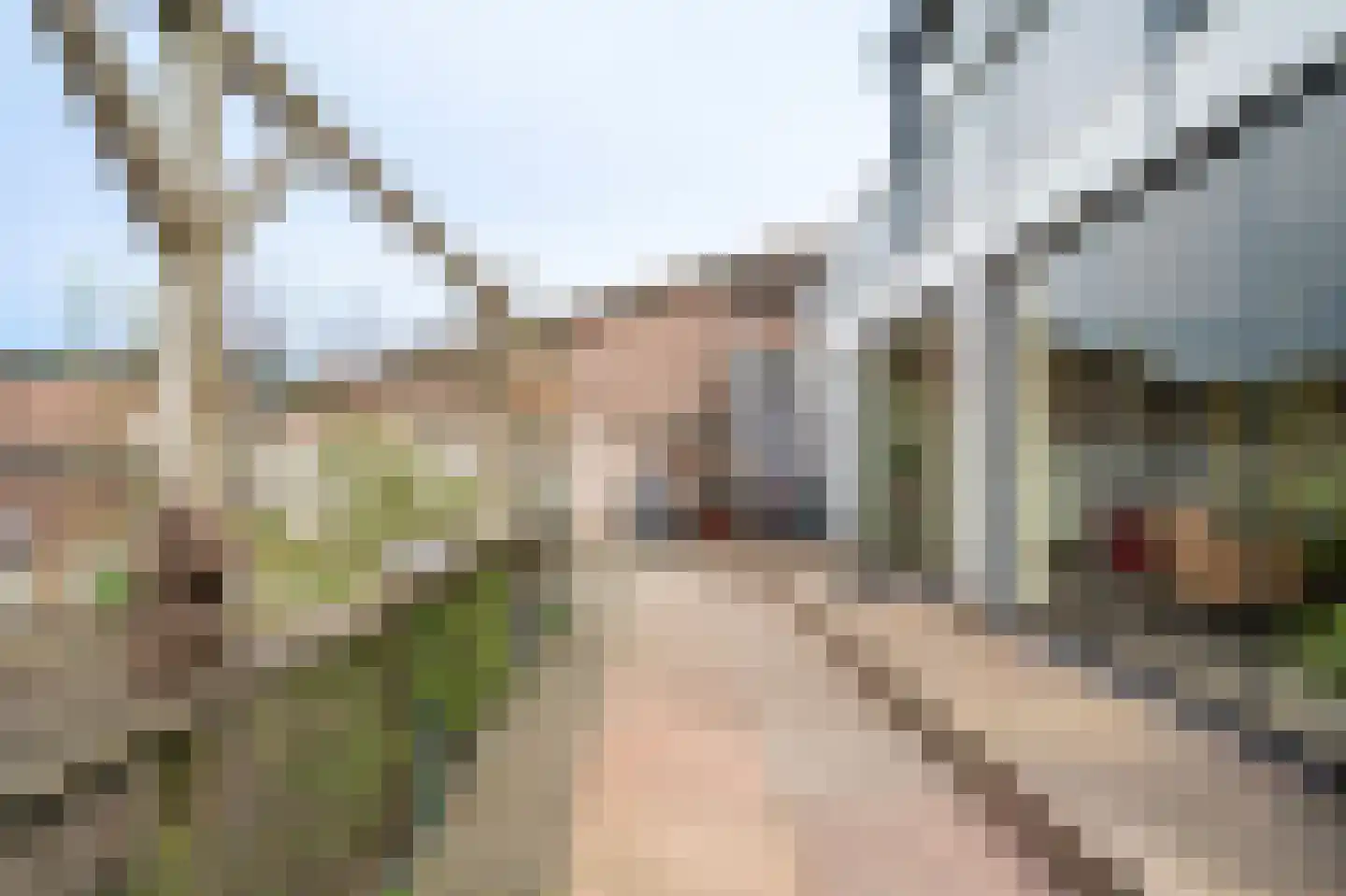 Rijksweg Zuid 78 Echt thumbnail 12