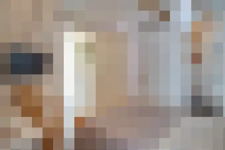 Rijksweg Zuid 78 Echt thumbnail 121
